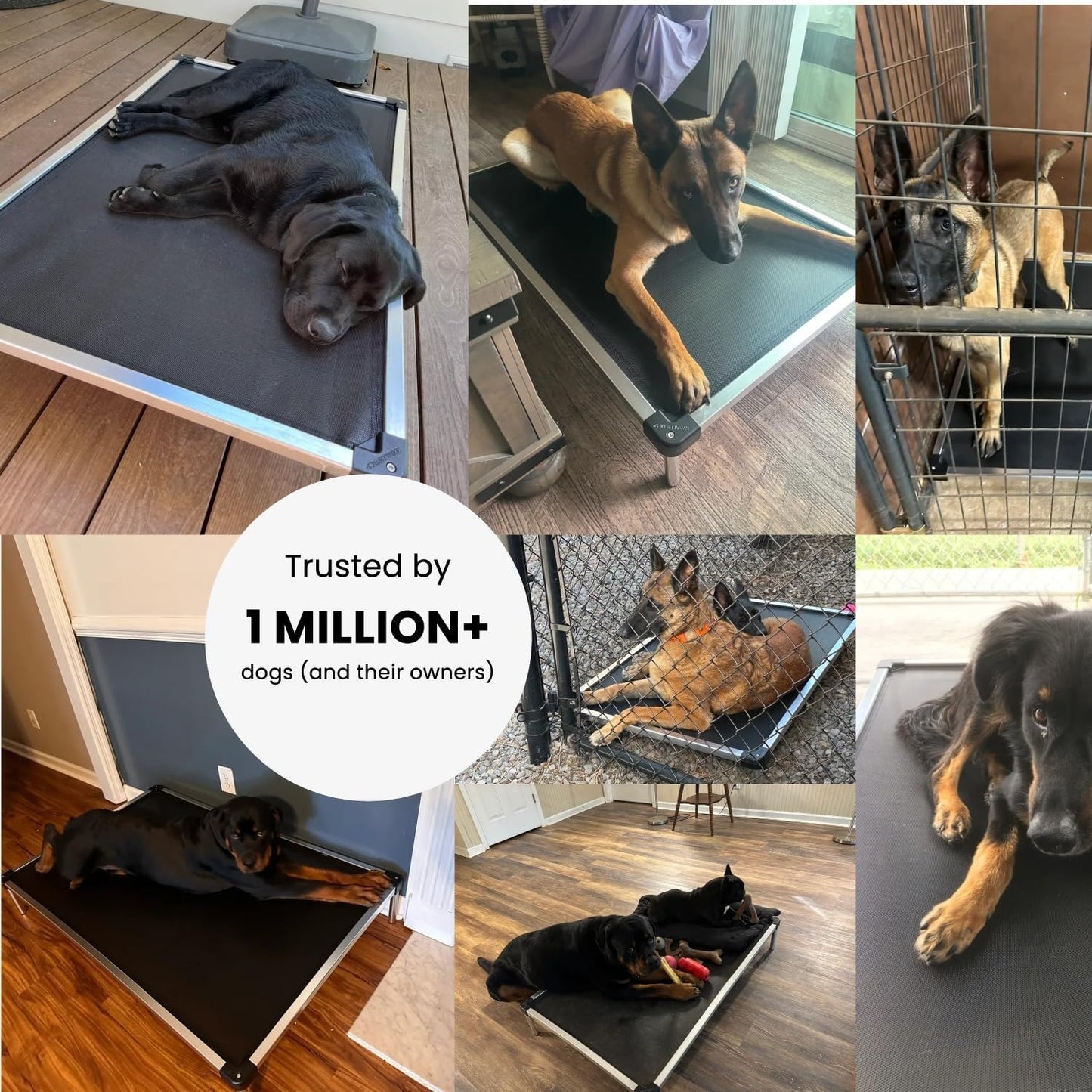 Indestructible Chew Proof Elevated Dog Bed - Large, Black Mesh for Ultimate Comfort