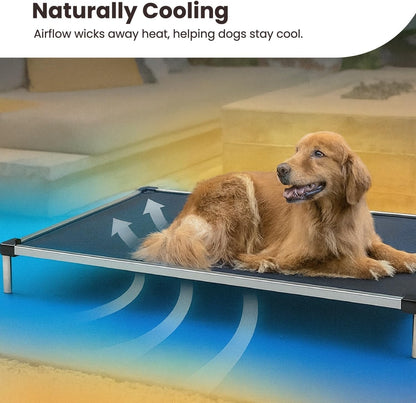 Indestructible Chew Proof Elevated Dog Bed - Large, Black Mesh for Ultimate Comfort