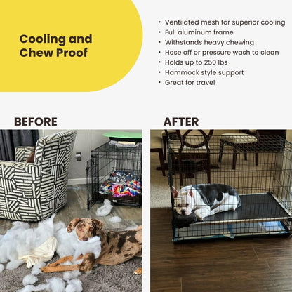 Indestructible Chew Proof Elevated Dog Bed - Large, Black Mesh for Ultimate Comfort